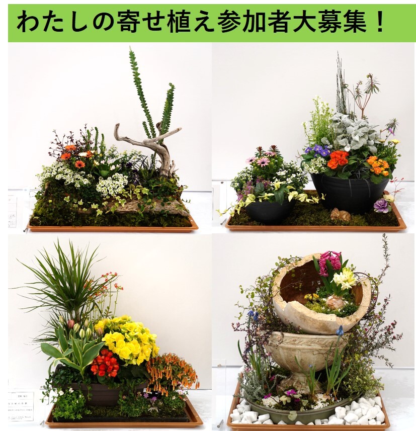 初めての方大歓迎♪わたしの寄せ植え作品出展大募集中！ | イベント