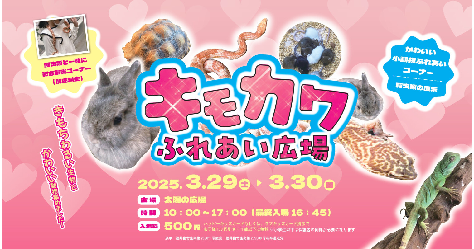 キモカワ2025