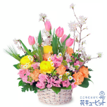 卒園卒業・入園入学祝い