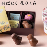 スプリングコレクション 2026