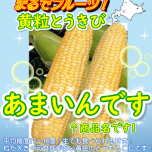 お待たせしております！夏の味覚🌽初入荷！！