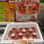 入荷情報♪　ミニトマト🍅ネネ入荷！