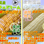 今季初登場！！　ドルチェドリーム＆ホイップコーン　（とうもろこし🌽）