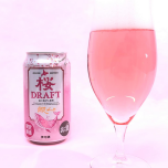 大好評今年も…🌸桜DRAFT🍺🌸！