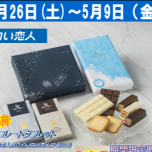 『白い恋人』４月２６日～期間限定販売！新商品も!!