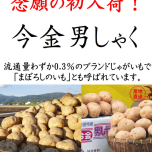 🥔今金男しゃく🥔今年も入荷中！！