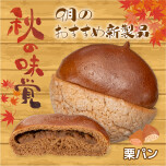9月のおすすめ新製品