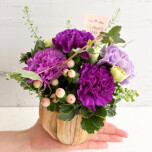 ★2026.5.10 Mother's Day★