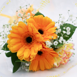 🌸スプリングギフト2026🌸