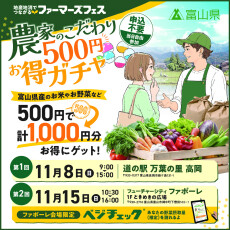 【11月15日(日)】お得な農産物ガチャ＆ベジチェック体験！ファボーレで「ファーマーズフェス」開催