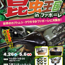 昆虫王国2025　㏌　ファボーレ
