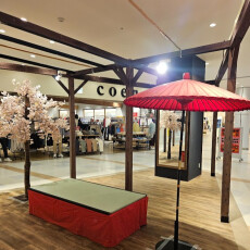 館内は一足早くサクラ満開！春のお花見フォトスポット登場🌸