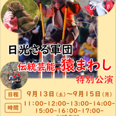 【9/13(土)～15(月・祝)】日光さる軍団　伝統芸能猿まわし　特別公演