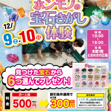 ホンモノの宝石さがし体験