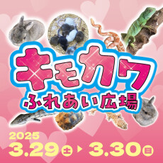 キモカワふれあい広場