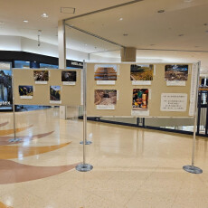 第31回富山県林業技術者懇親会 写真コンテスト　展示会