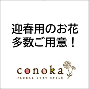 コノカ