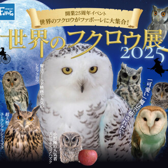 世界のフクロウ展2025