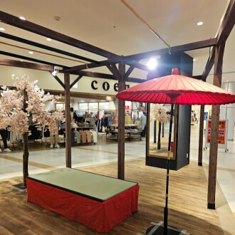 館内は一足早くサクラ満開！春のお花見フォトスポット登場🌸