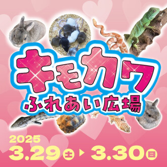 キモカワふれあい広場