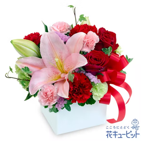 クリスマスフラワー