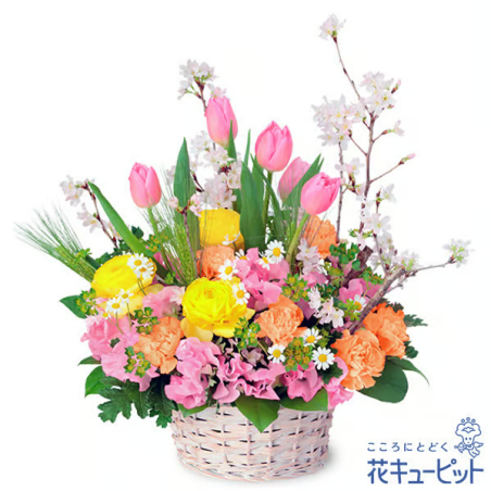 卒園卒業・入園入学祝い