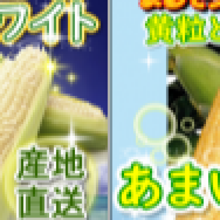 とうもろこし🌽お盆中の入荷情報！！