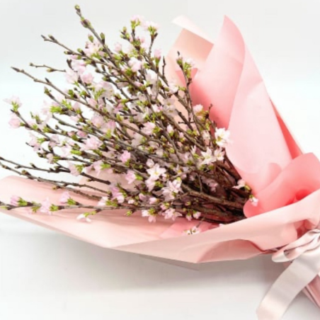 🌸富山県産啓翁桜入荷しました🌸